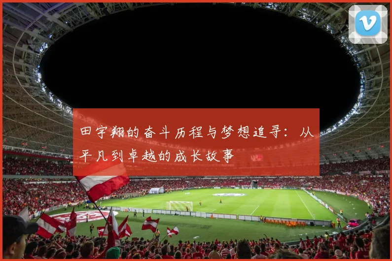 田宇翔的奋斗历程与梦想追寻：从平凡到卓越的成长故事