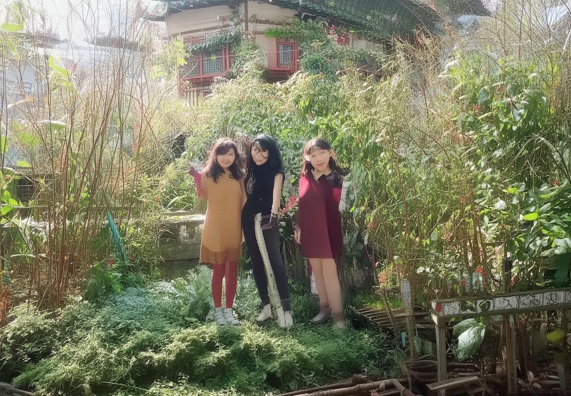 法国男排VS巴西男排：巅峰对决深度解析