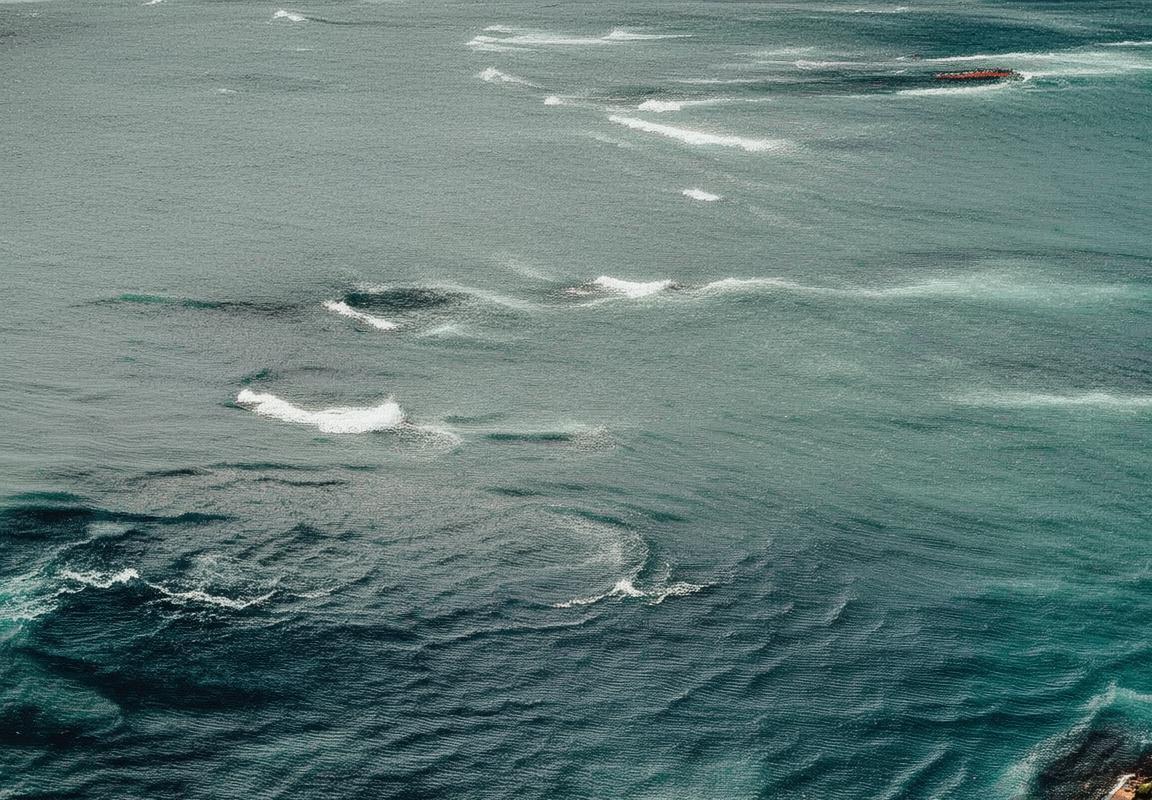 格沃塔VS戴维斯：拳坛对决回顾与未来展望